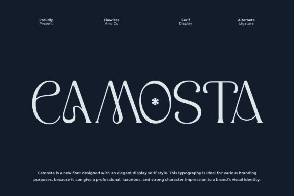 Camosta Serif Display Font for Elegant Web Design